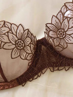 Brown Lace Lingerie